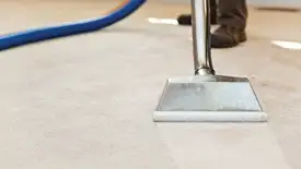 Carpet cleaning wand head gliding over a light carpet during hot-water extraction, Tampa, FL.