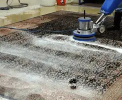 Professional rug cleaning with a rotary floor machine and shampoo foam, deep-cleaning an area rug, in Tampa, FL.